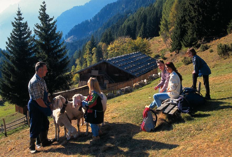 Residence Vellauerhof Lagundo Dış mekan fotoğraf